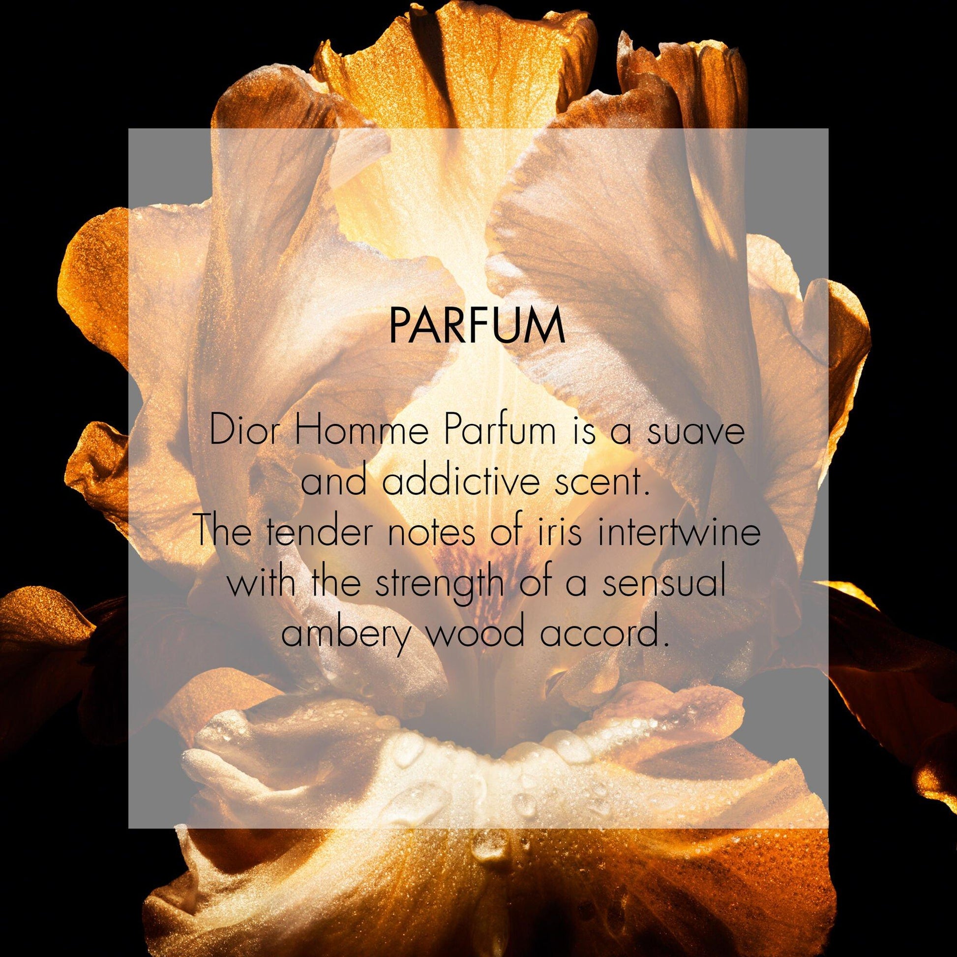 DIOR Dior Homme Parfum