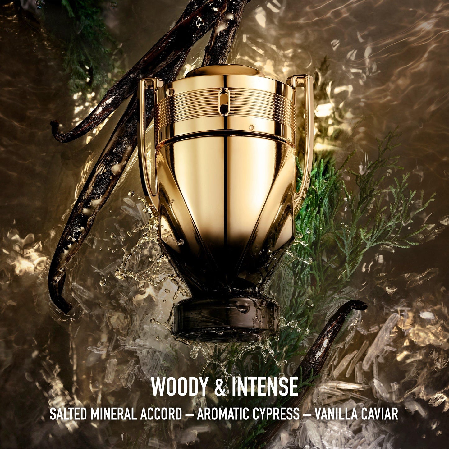 Rabanne Rabanne Invictus Elixir