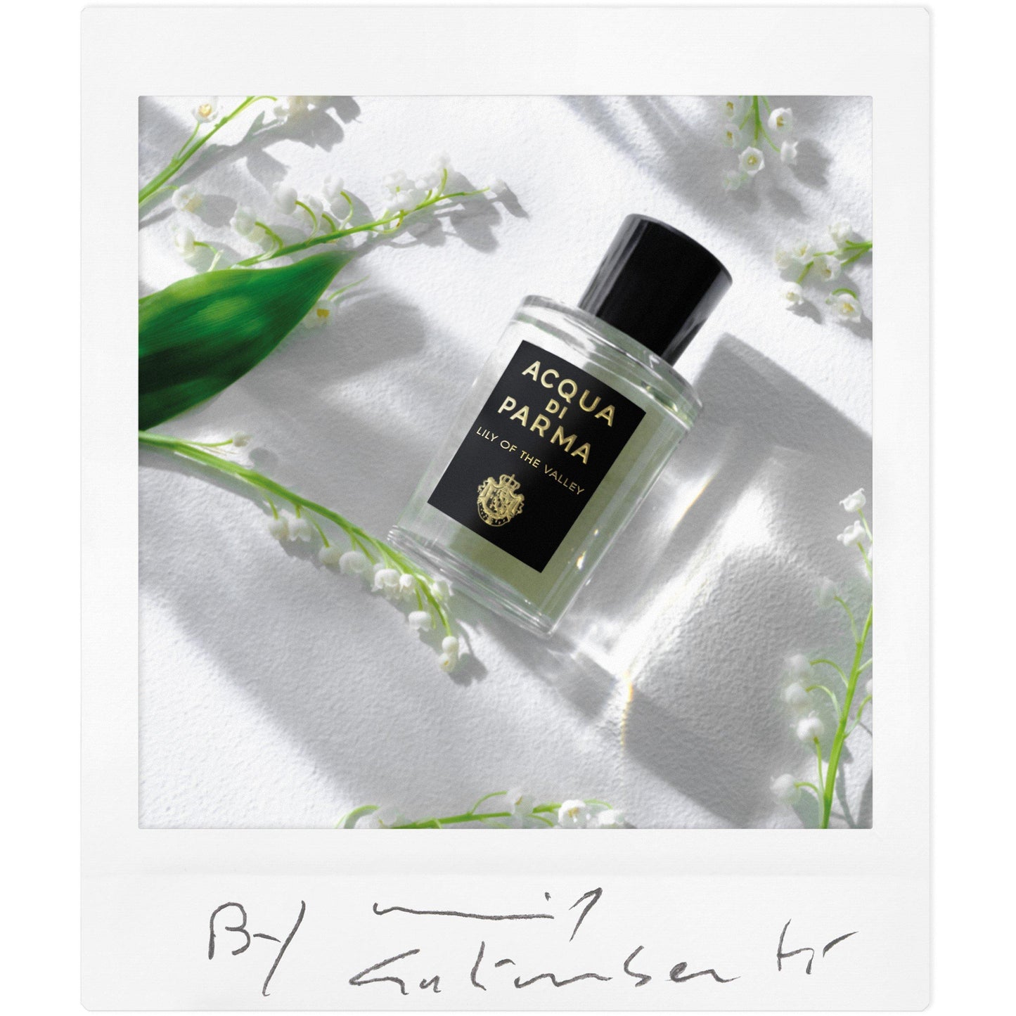 Acqua Di Parma Signatures of the Sun Lily of the Valley Eau de Parfum
