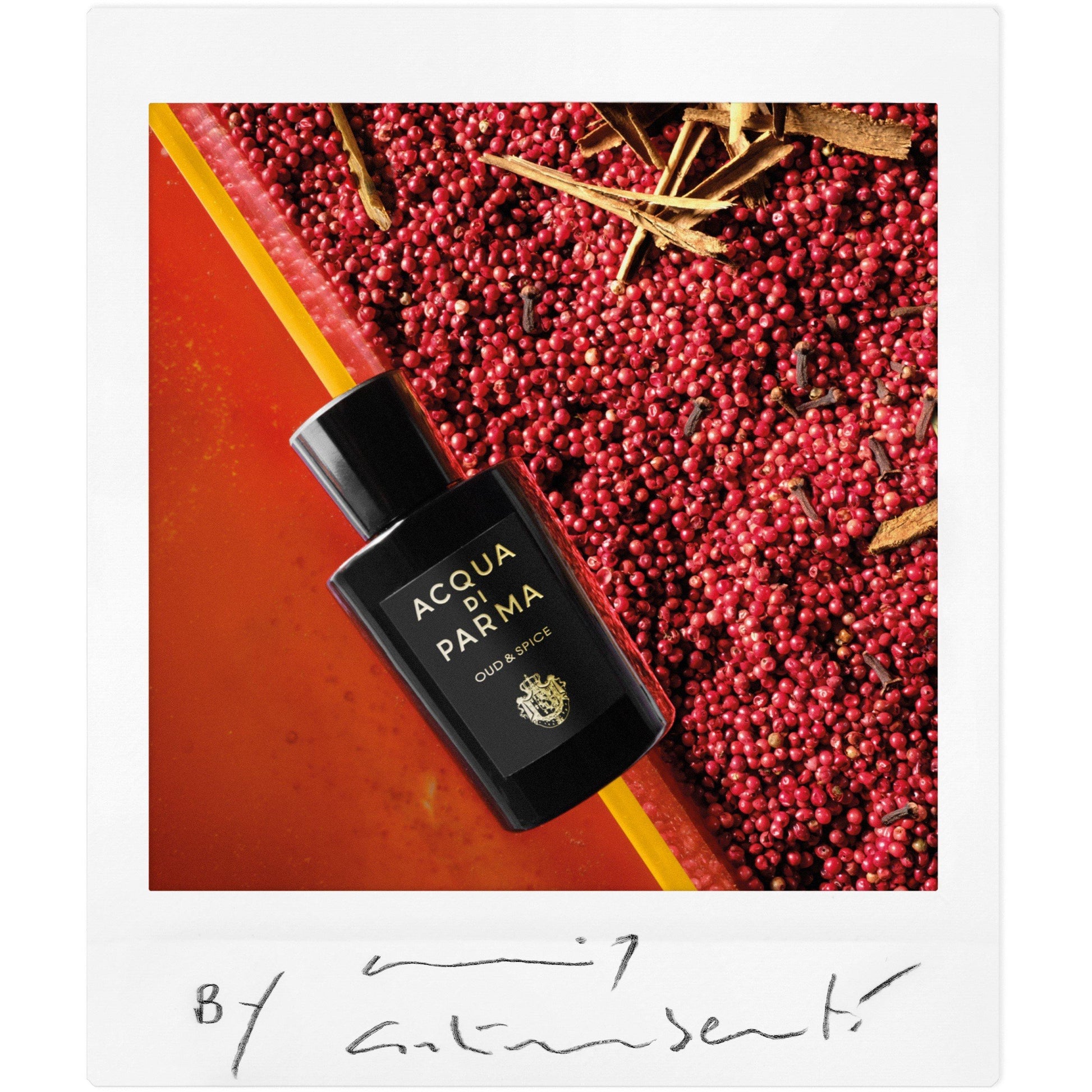 Acqua Di Parma Signatures of the Sun Oud & Spice Eau de Parfum