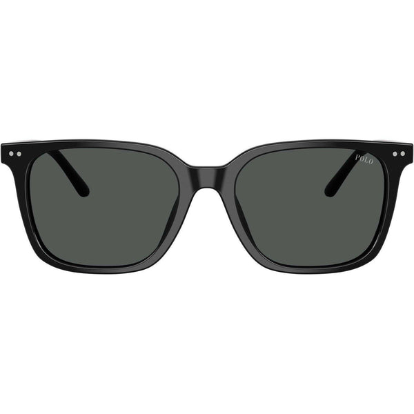 Polo Ralph Lauren Men's 0PH4235U Wayfarer Sunglasses