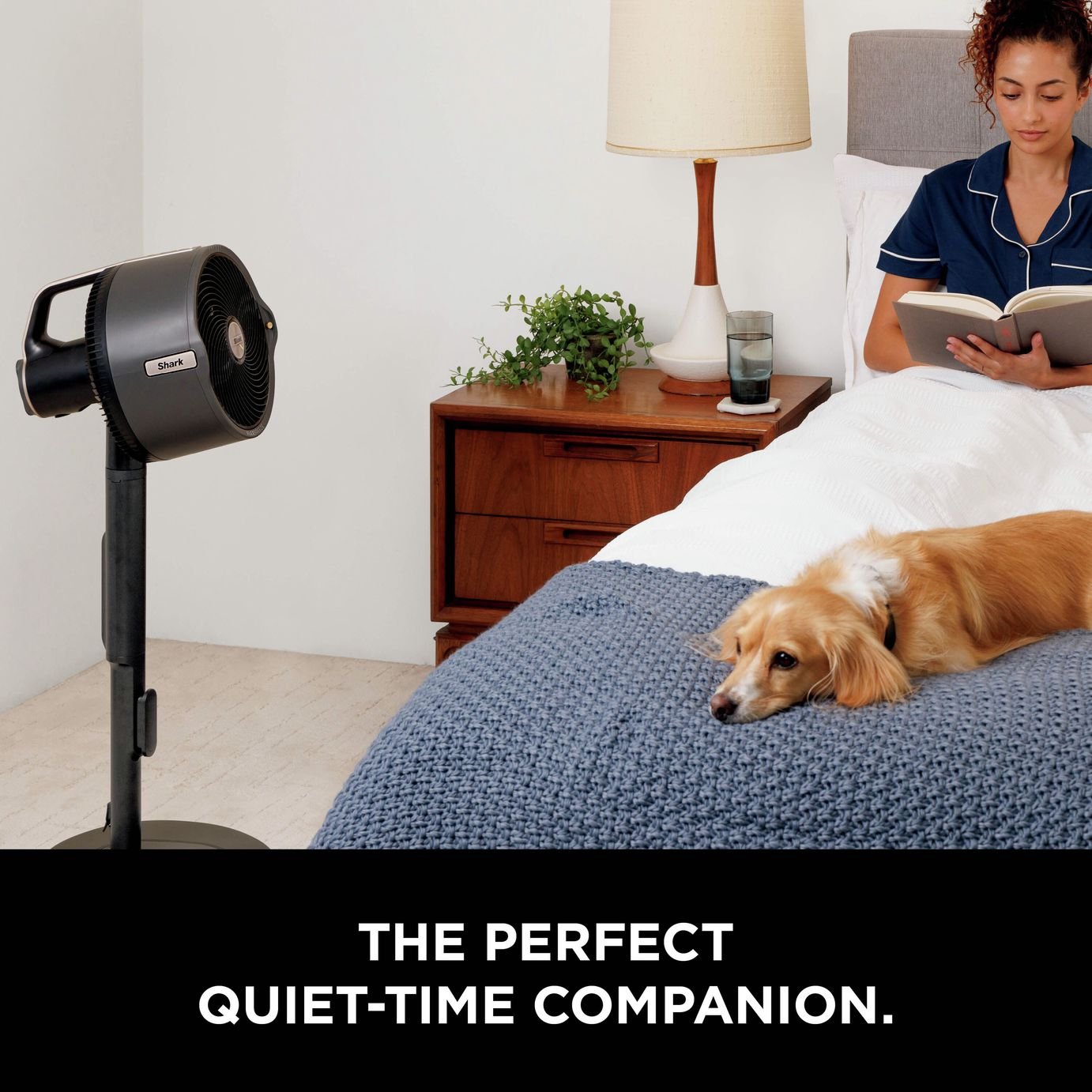 Shark FlexBreeze Pro Mist Indoor and Outdoor Pedestal Fan