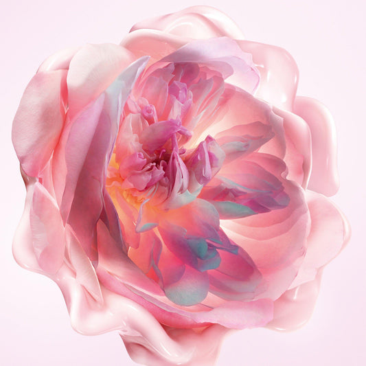 DIOR Miss Dior Hydrating Hand Cream