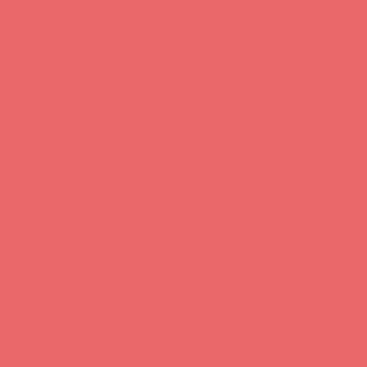 DIOR Rouge Powder Blusher