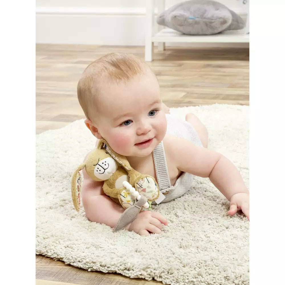 Guess How Much I Love You Baby Gift Set