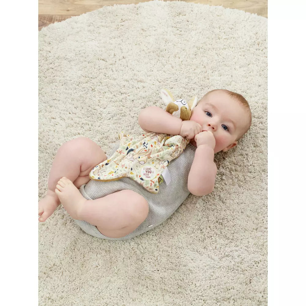 Guess How Much I Love You Baby Gift Set