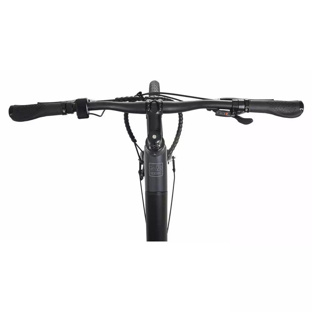 Dawes Scenic Low Step 700c Adult Electric Bike