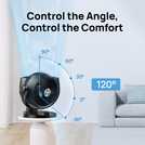 Dreo TurboPoly CF419 Black Air Circulator Desk Fan