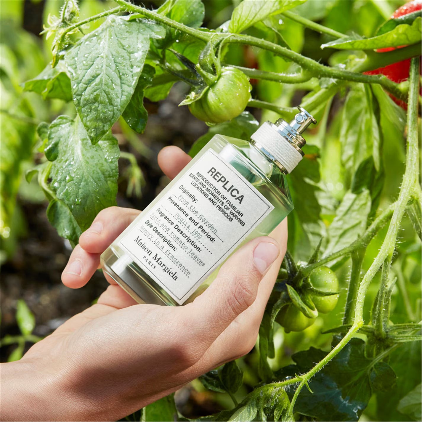 From The Garden Eau De Toilette