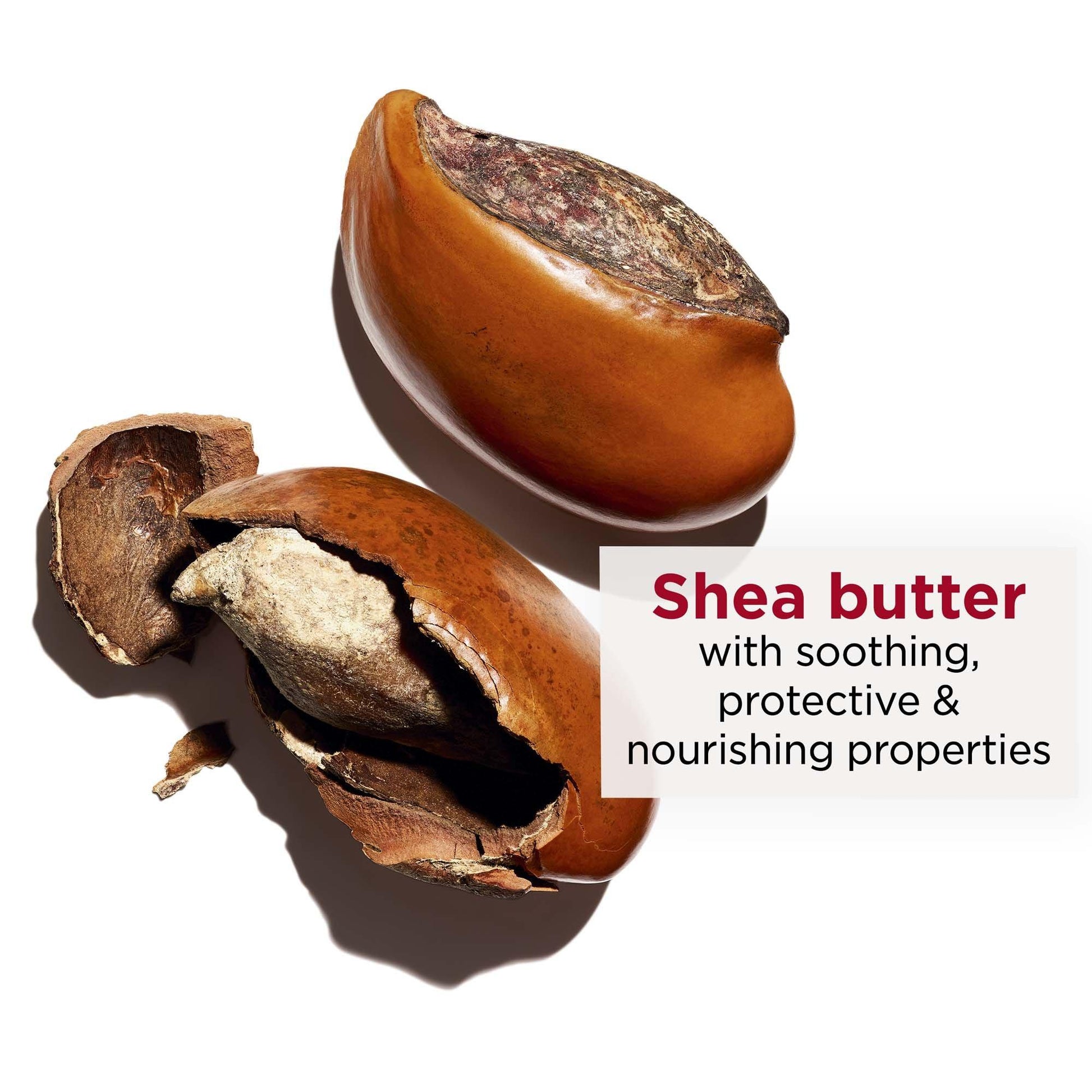 Clarins Moisture-Rich Shea Butter Body Lotion for Dry Skin