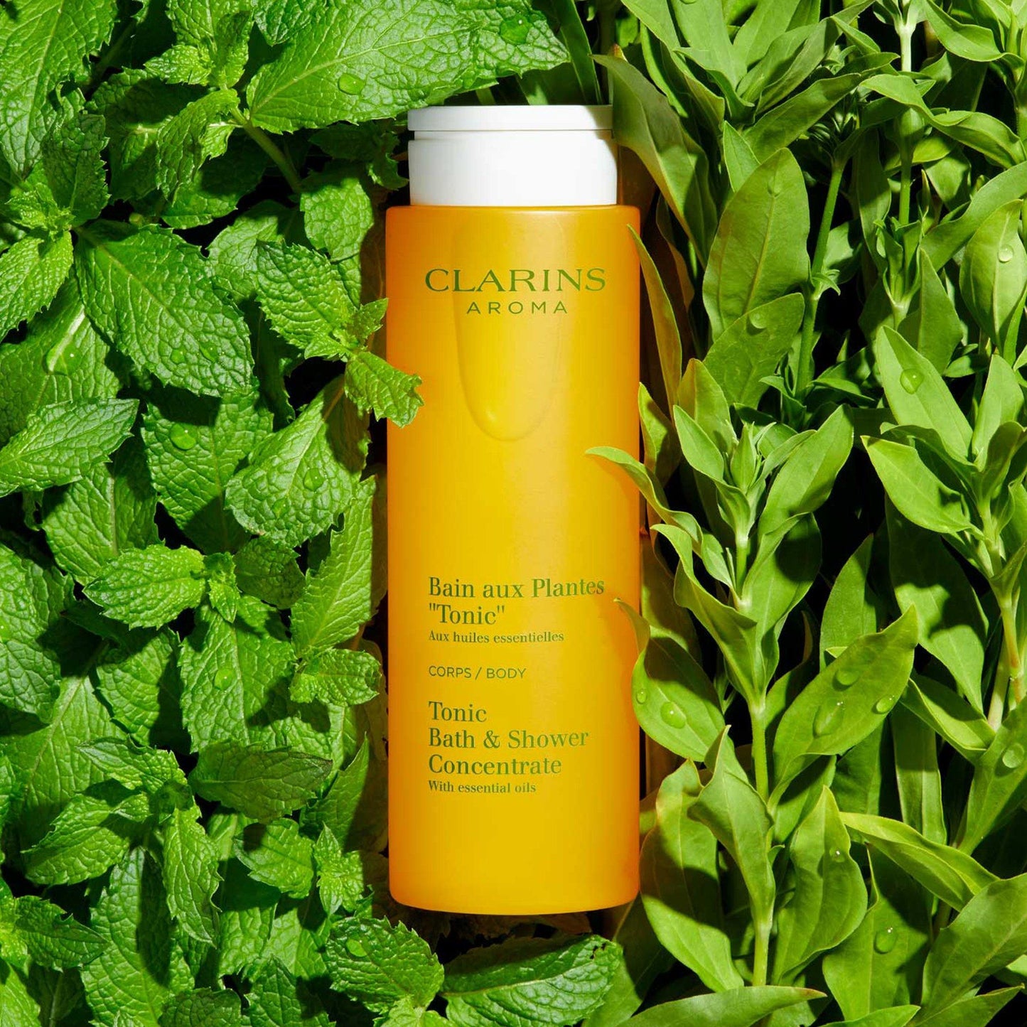 Clarins Tonic Bath & Shower Concentrate
