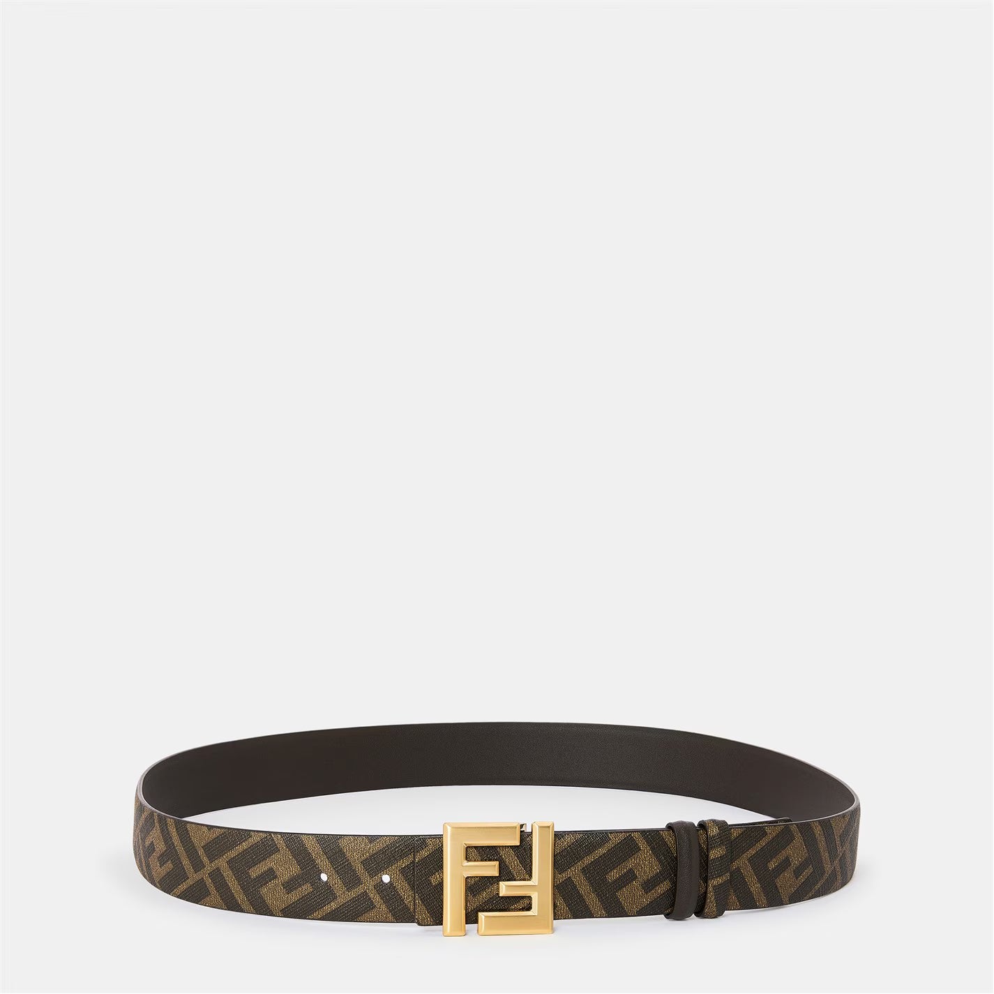 Reversible Belt