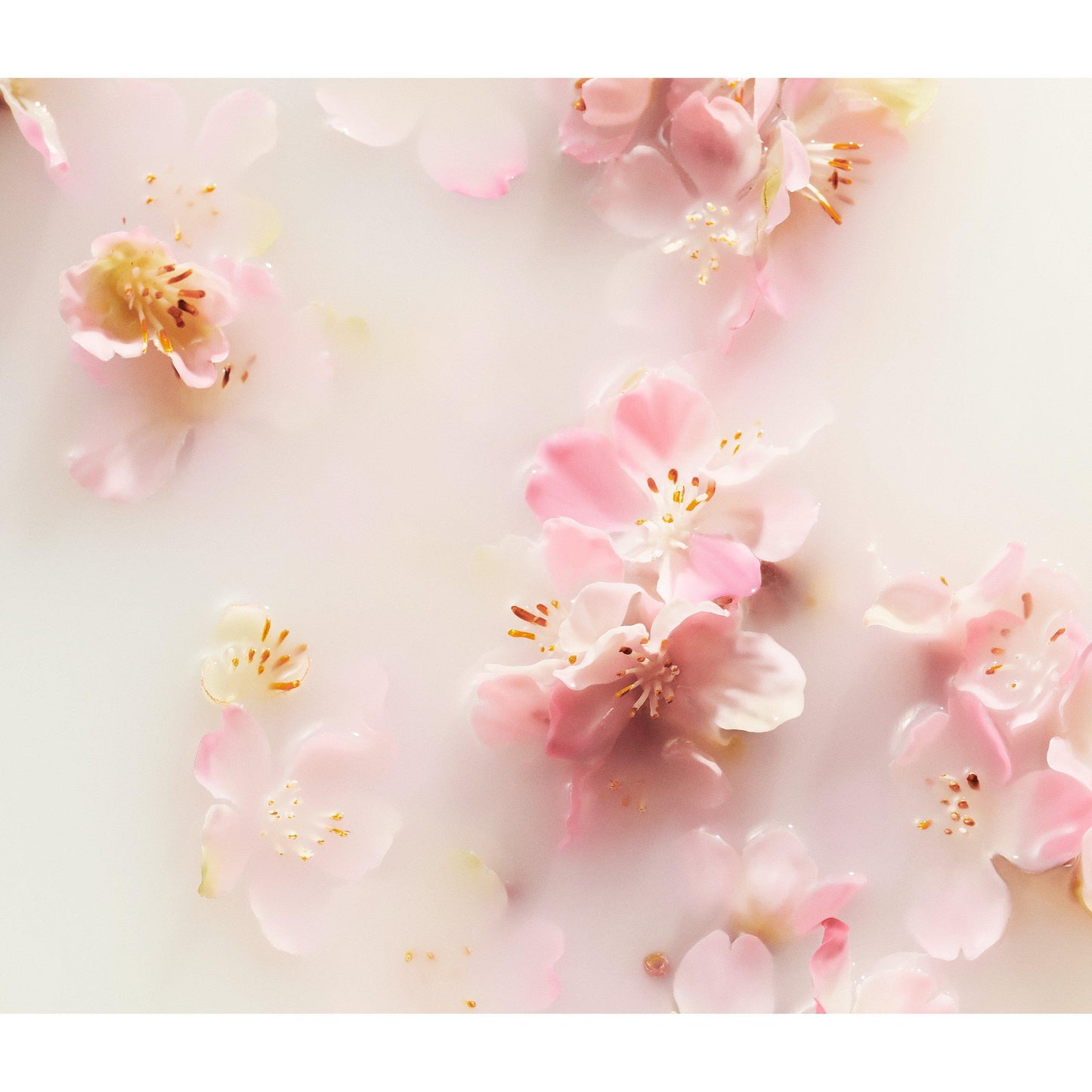 Rituals The Ritual of Sakura Medium Gift Set