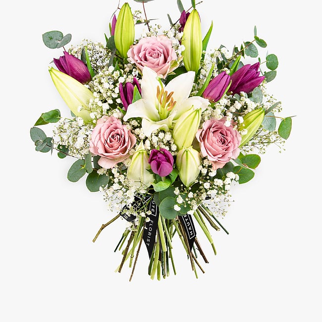 Spring Splendour