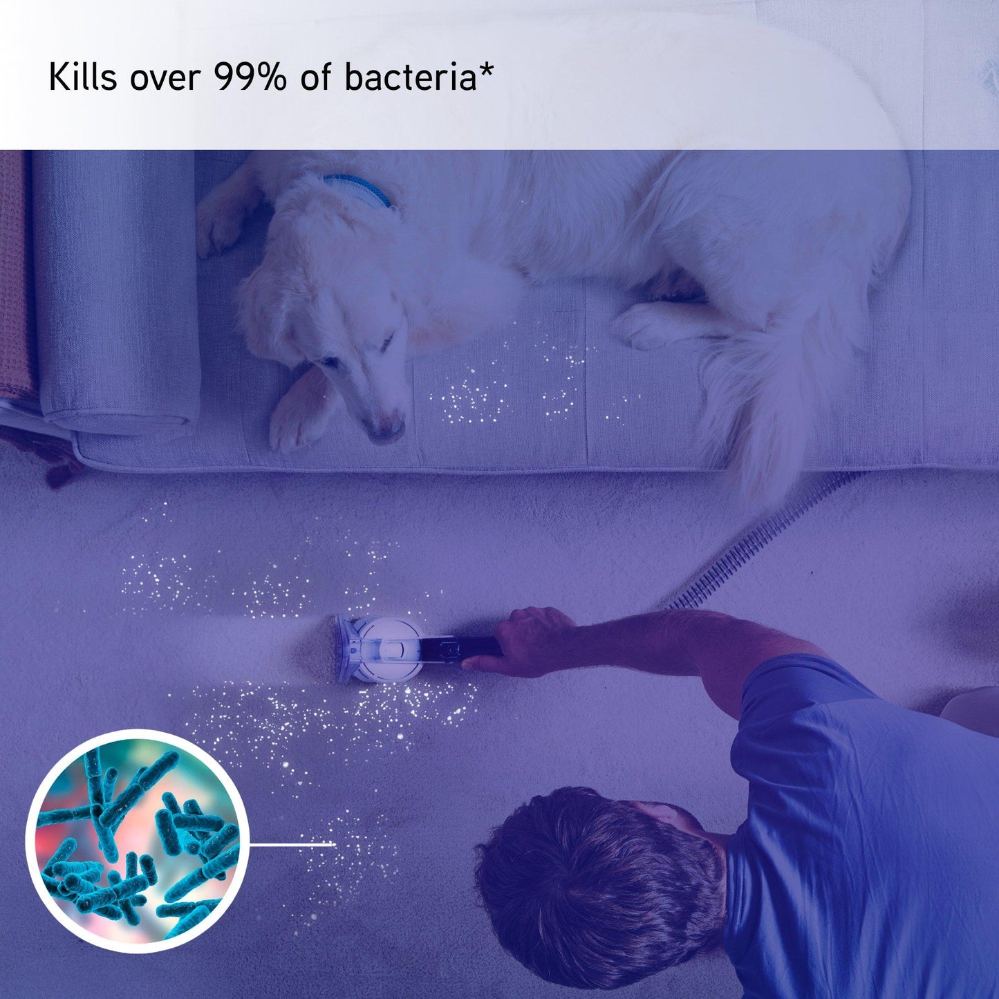 Spotwash Home Pet Design Spot Cleaner