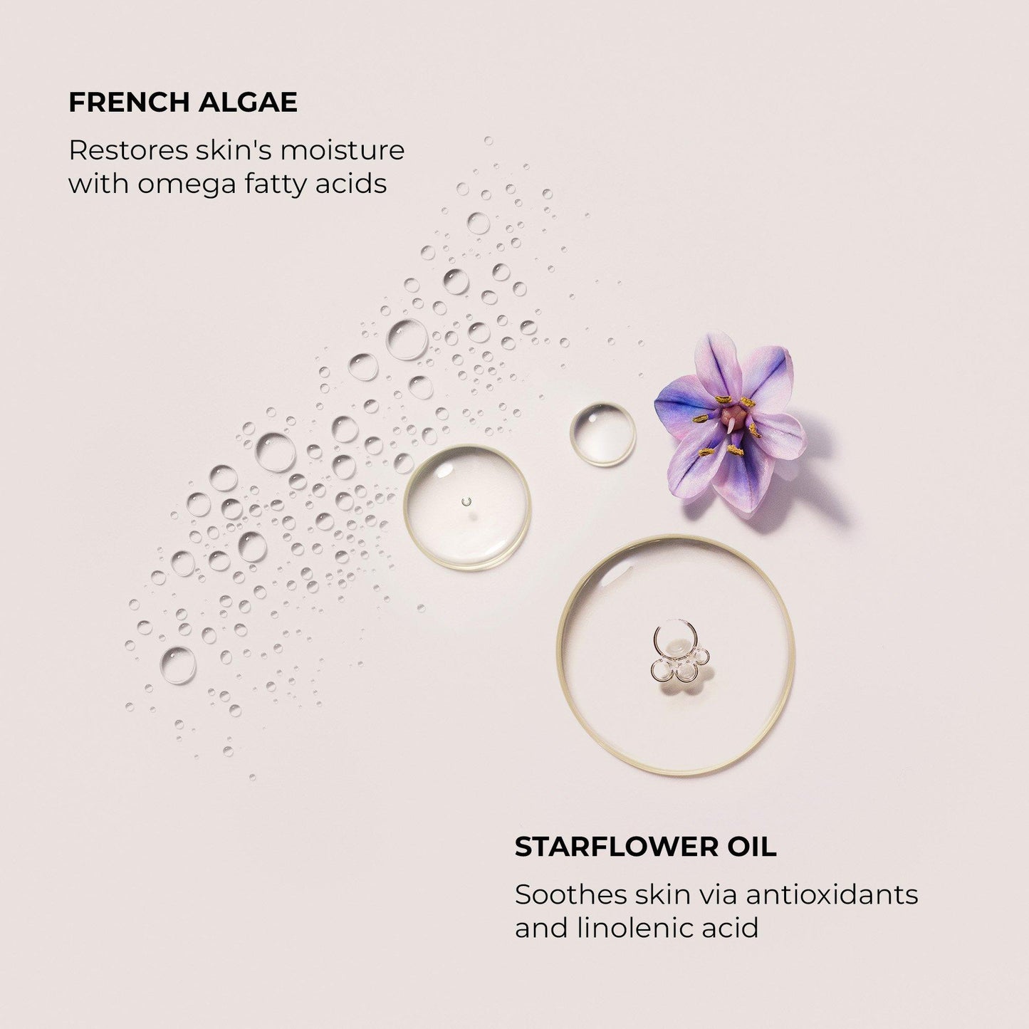 Serum Body Cream