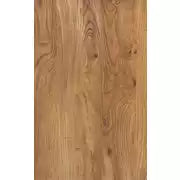 Habitat Nomad 2 Door Display Cabinet - Oak