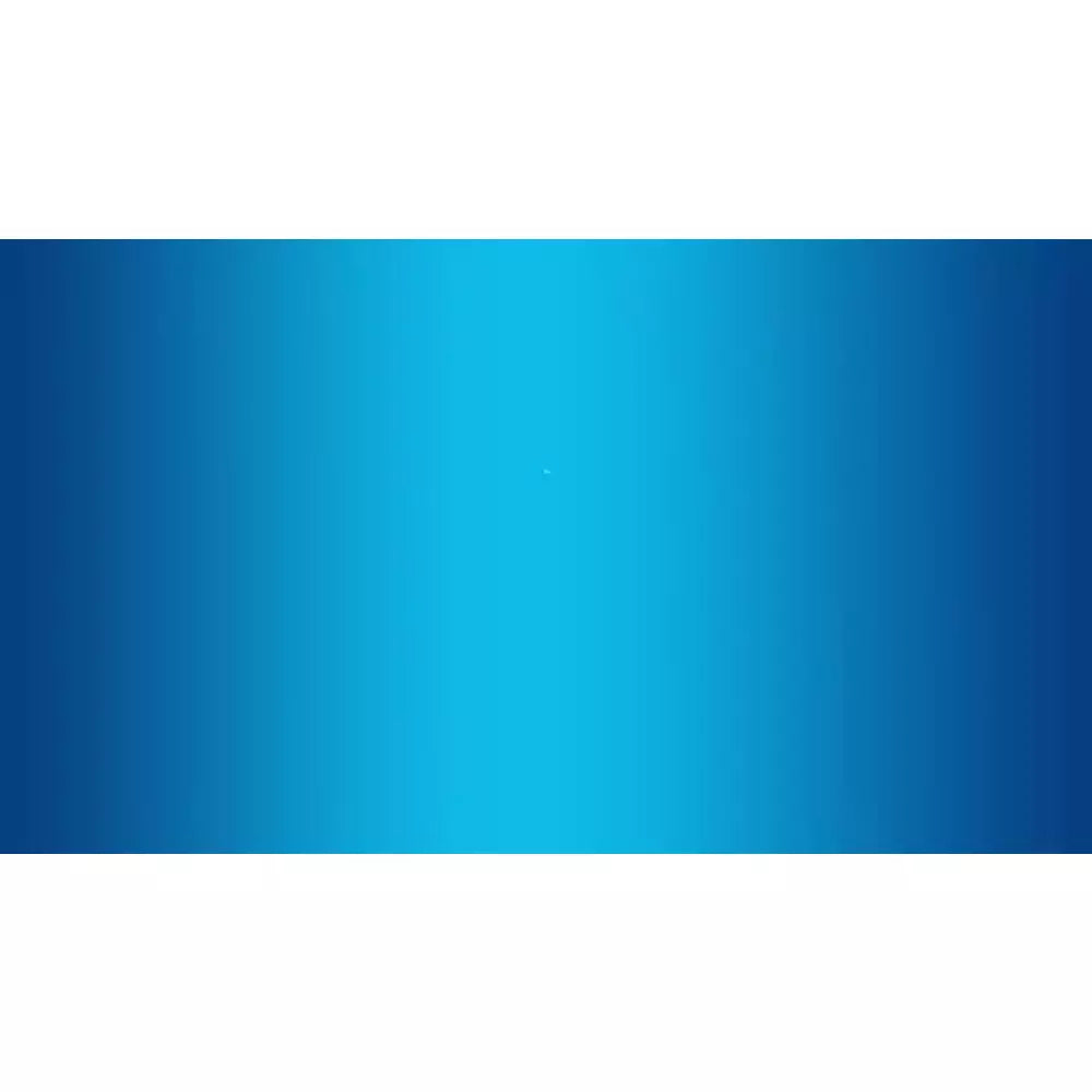 Streetwize Heated Back Support Cushion