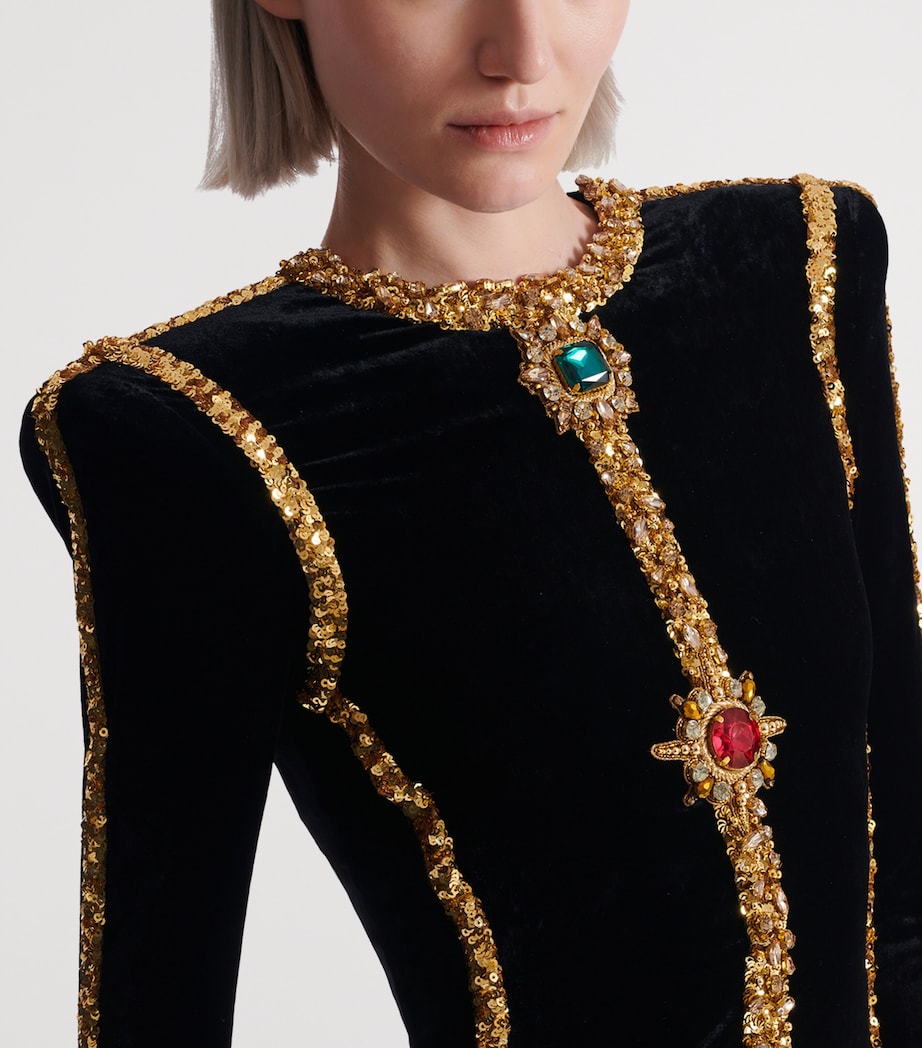 Velvet Embellished Gown