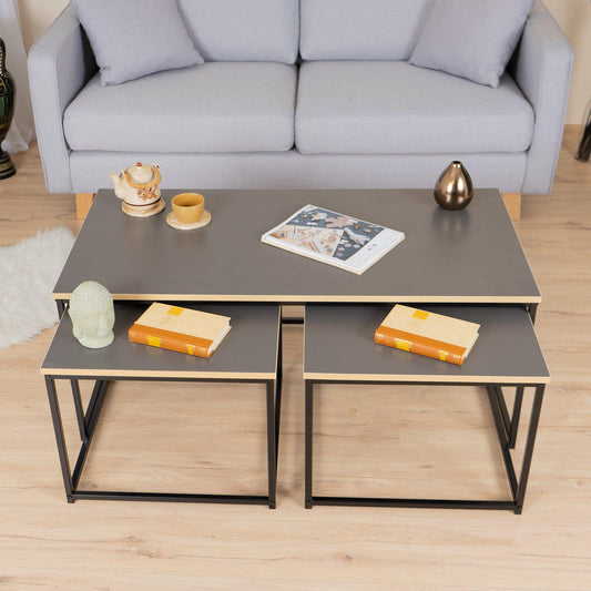 FurnitureR RICKY Black and Wooden Coffee Table Set of 3