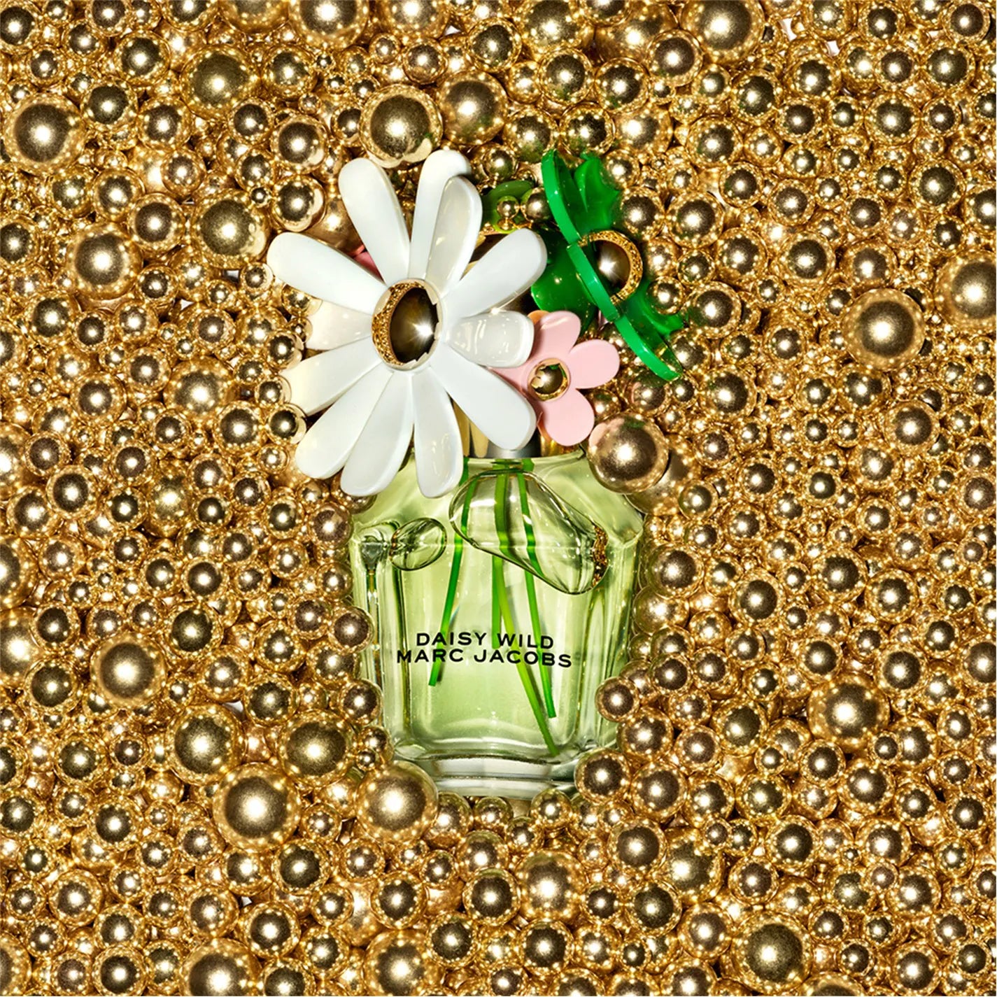 Daisy Wild Eau de Parfum for Women Trio Giftset 100ml