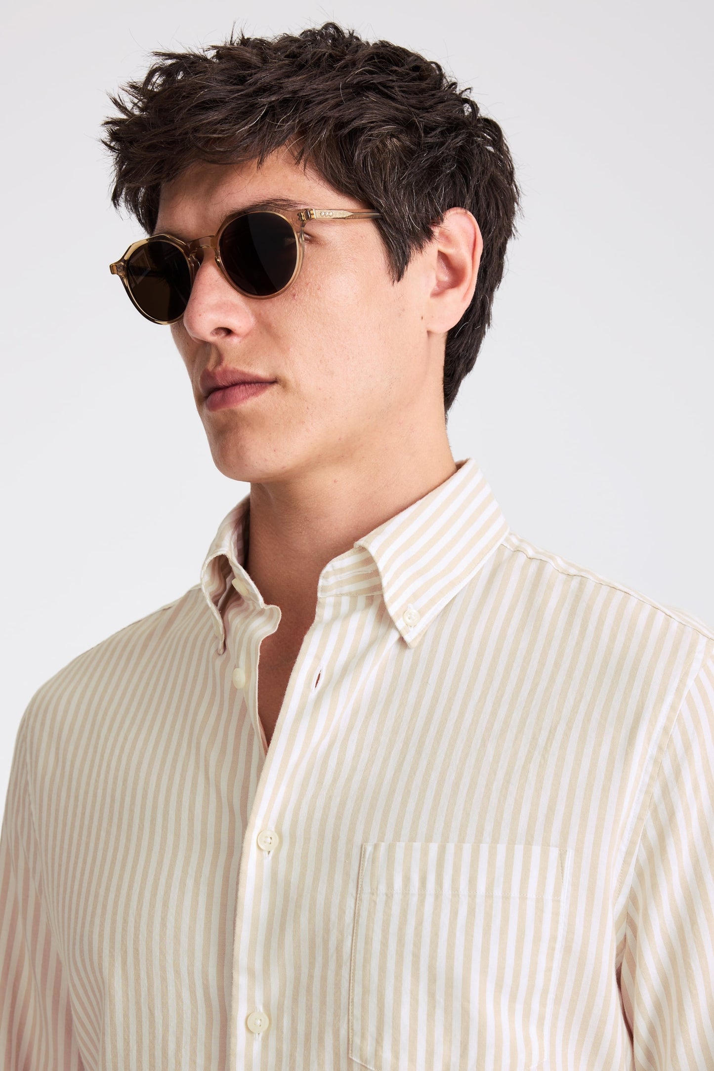 Camel Stripe Cotton Oxford Shirt