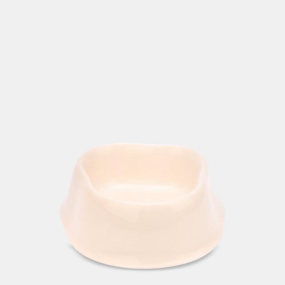 Off Dog Bowl 99