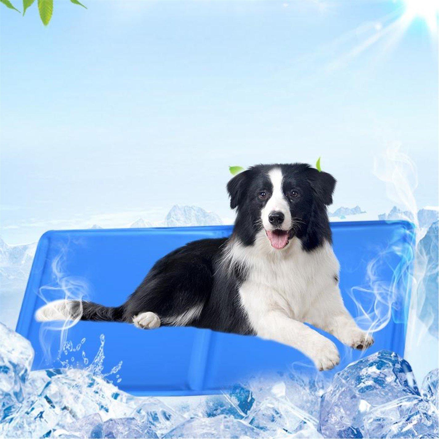 Waggy Tails Cooling mat