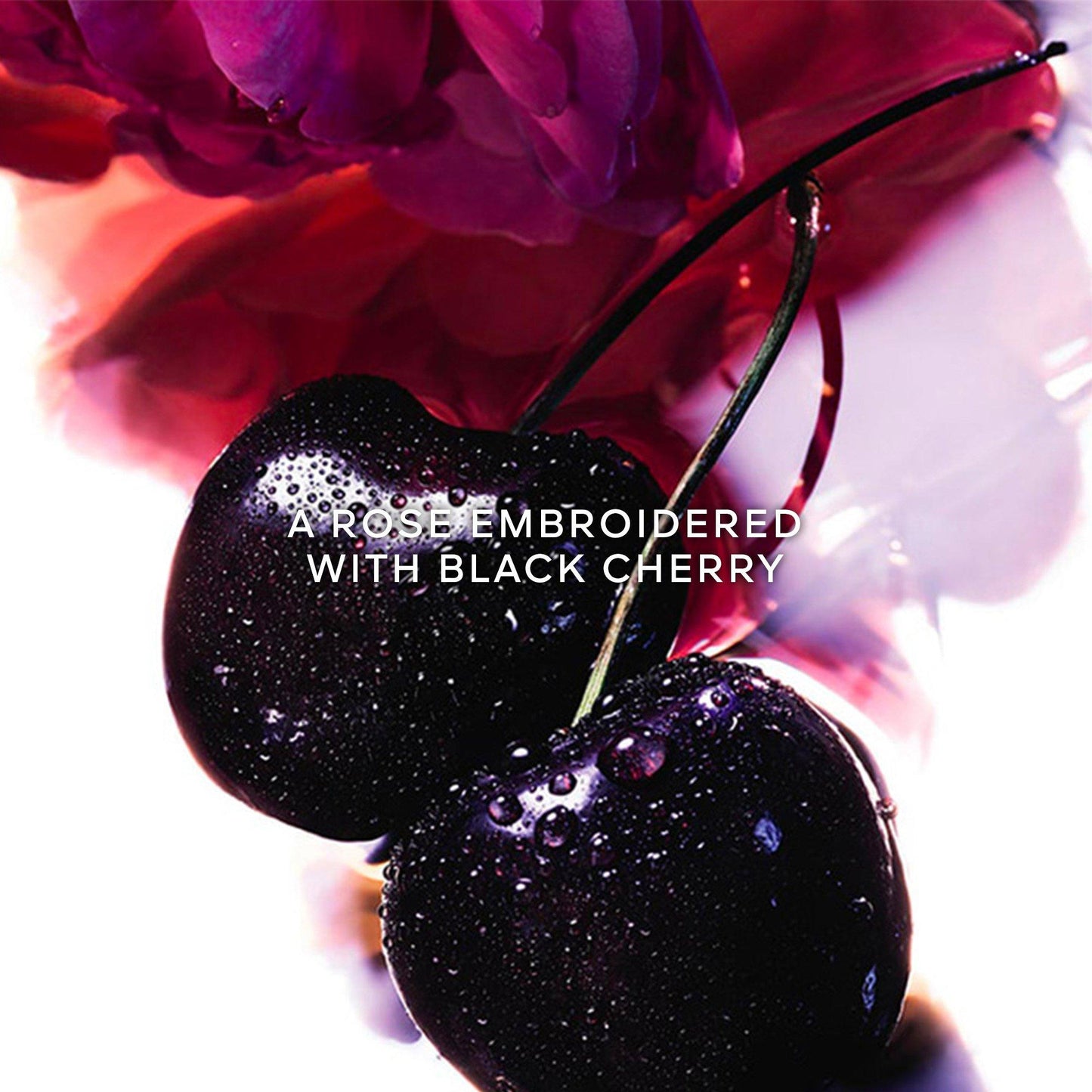 La Petit Robe Noire Body Milk