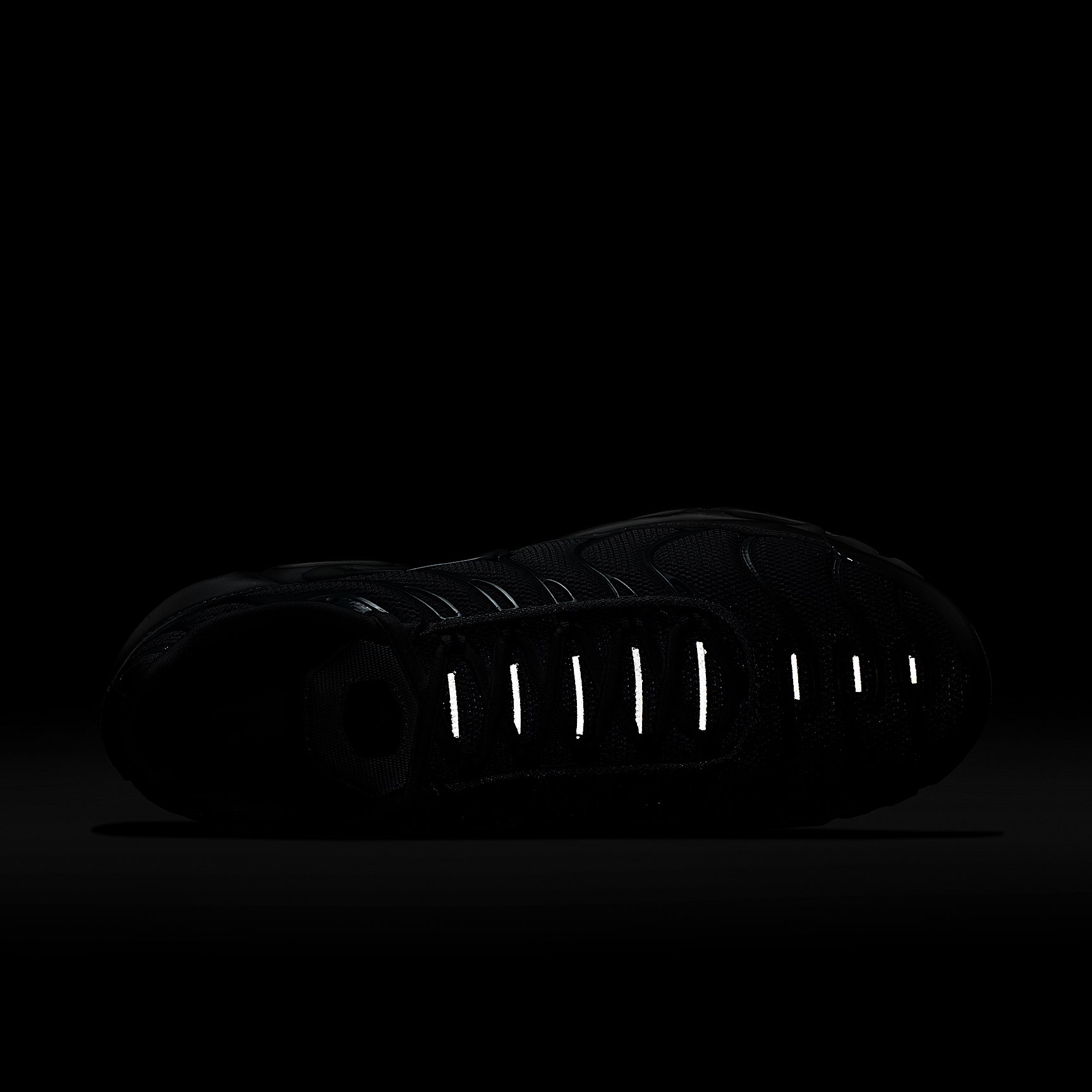 Nike Air Max Plus