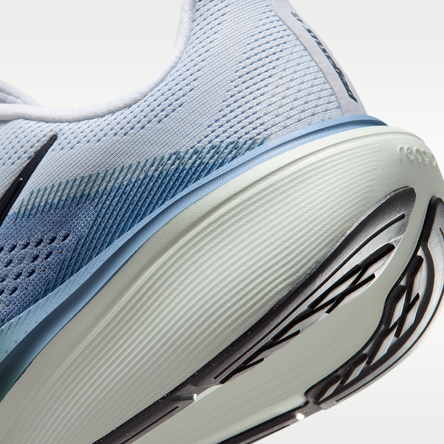 Nike Pegasus 42