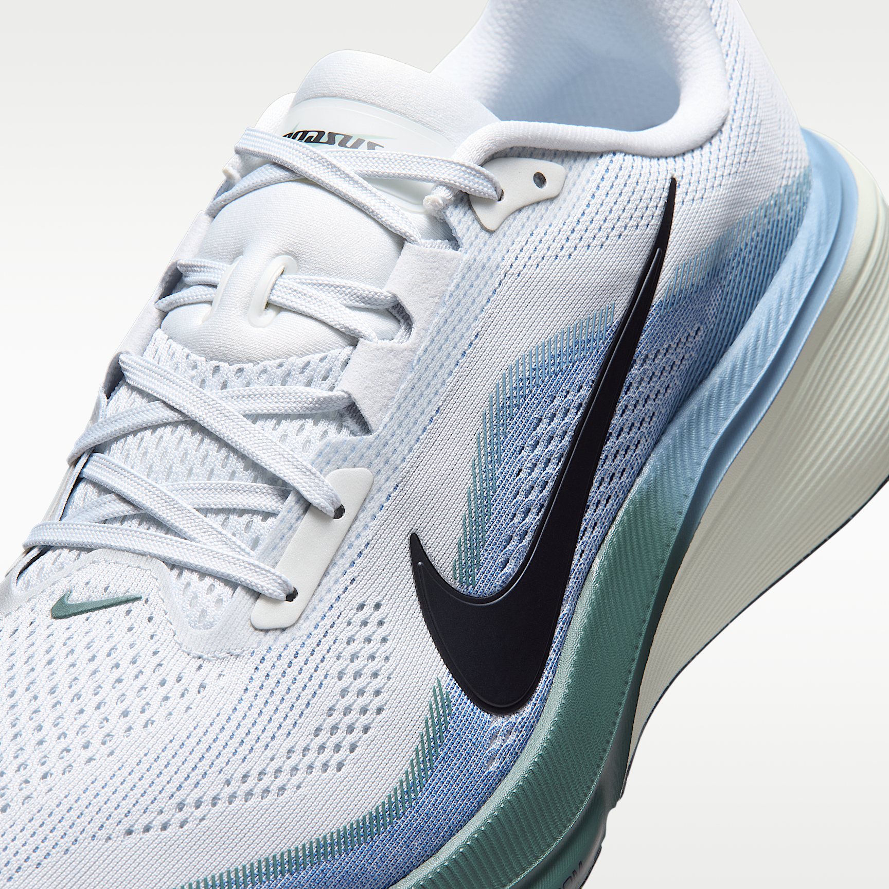 Nike Pegasus 42