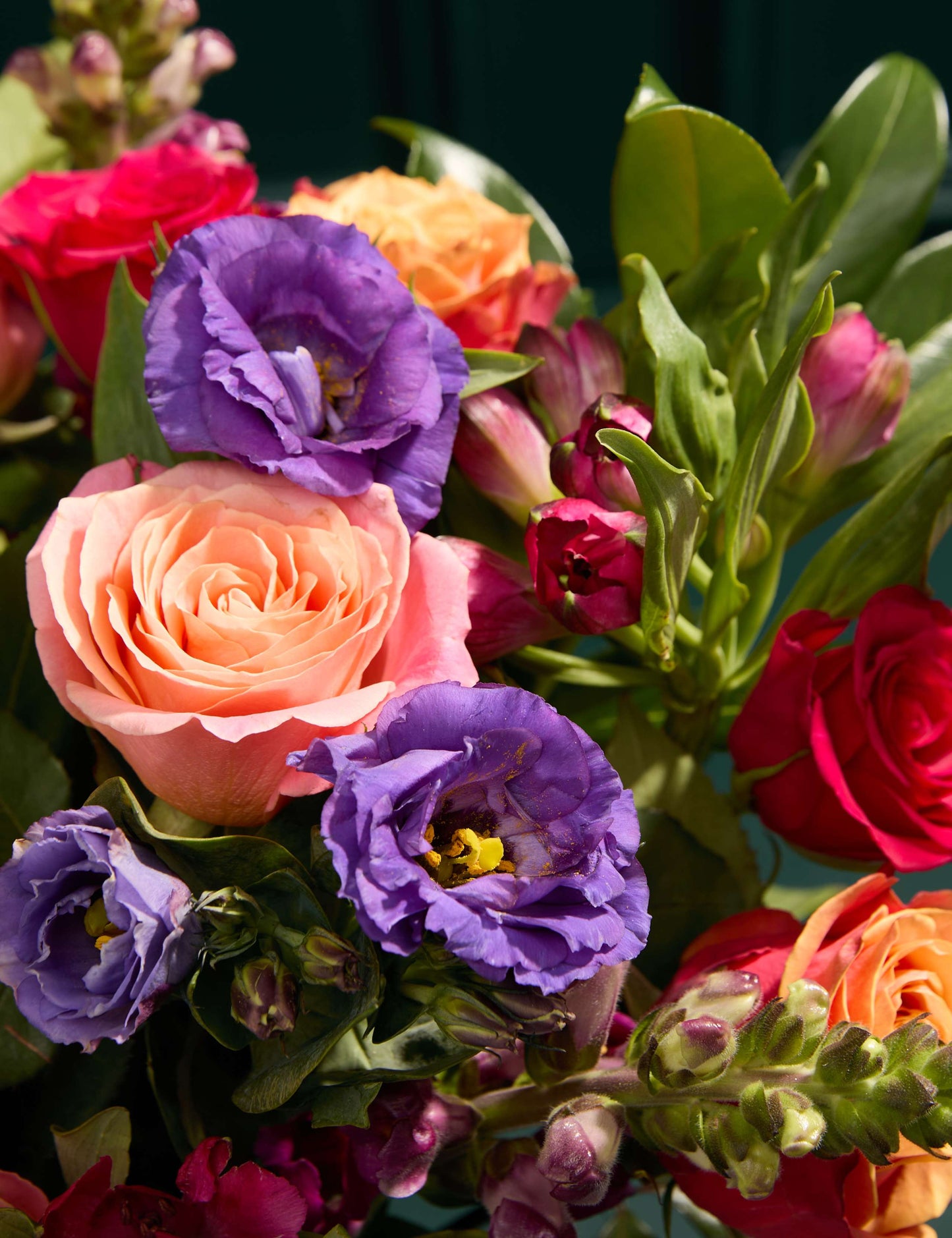 Bright Roses Bouquet with Swiss Chocolates
