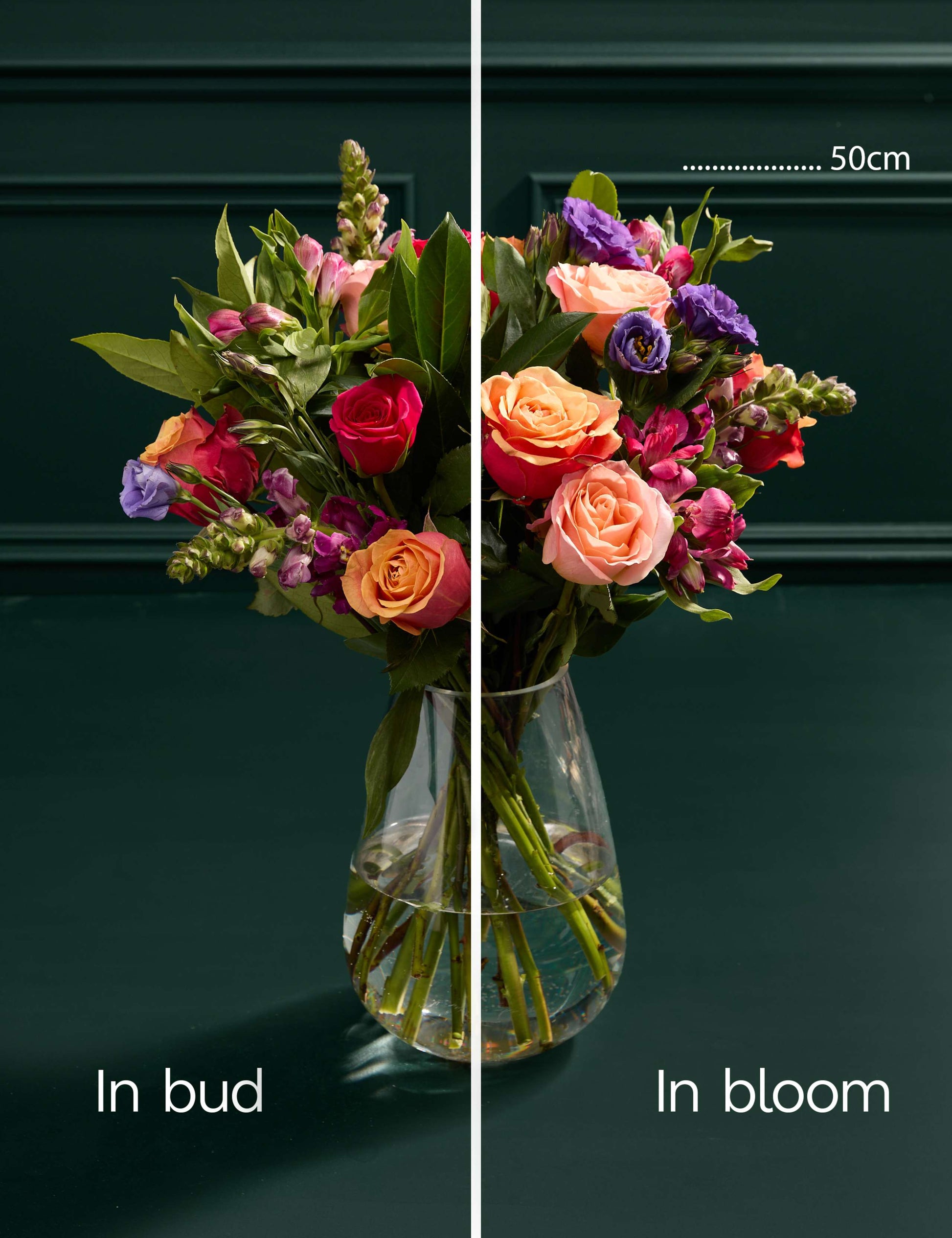 Bright Roses Bouquet with Swiss Chocolates