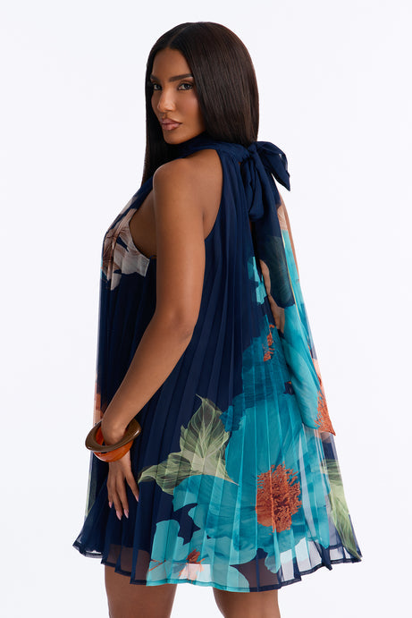Juliana Sleeveless Chiffon Mini Dress