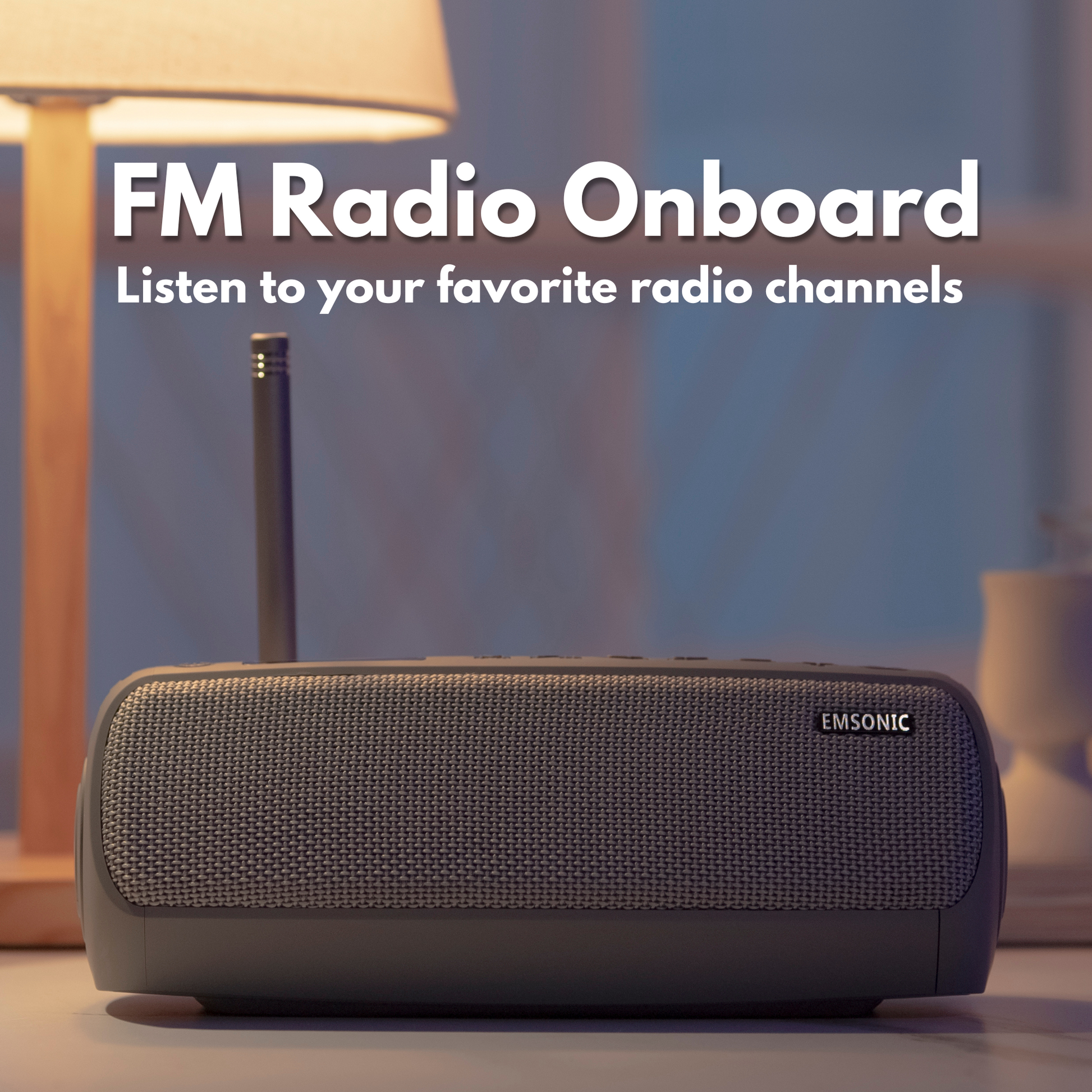 Saver Speaker w/ CO Detector & FM Radio - Interactive Group