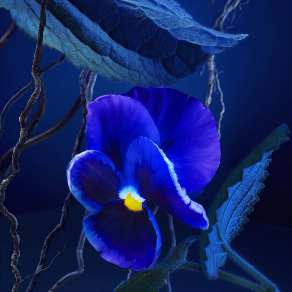 Hugo Boss Triumph Elixir Eau De Parfum 100ml