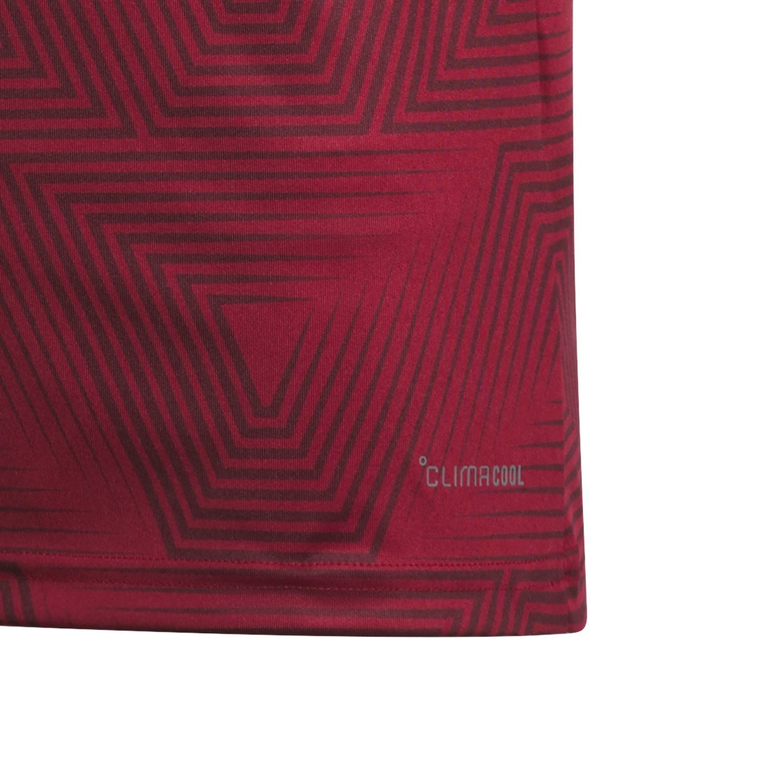 Venezuela 2026 Home Jersey - Youth
