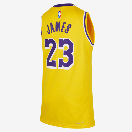 LeBron James Los Angeles Lakers 2023/24 Icon Edition