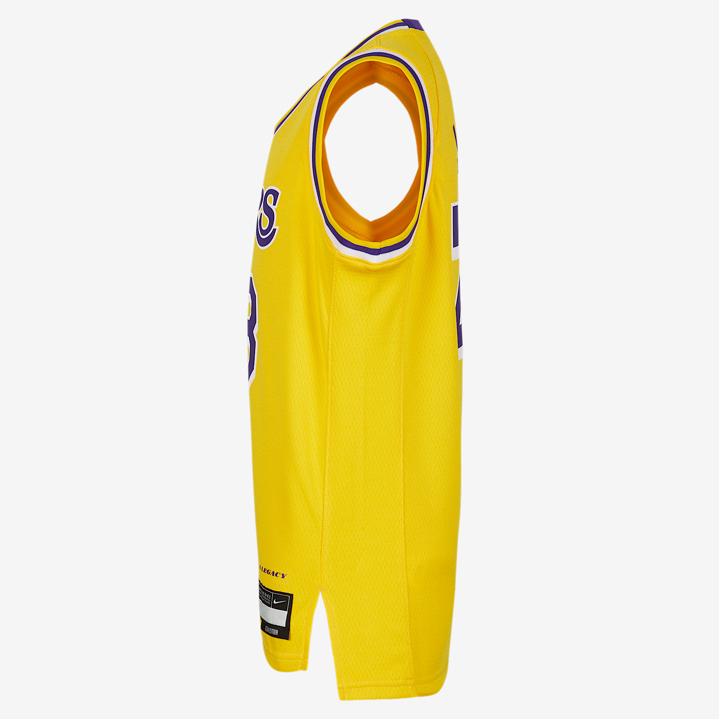 LeBron James Los Angeles Lakers 2023/24 Icon Edition