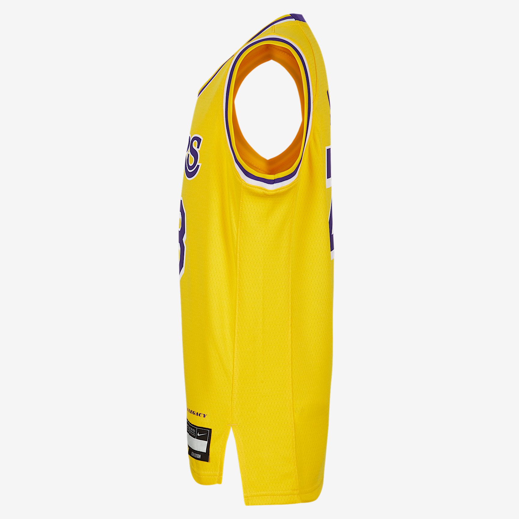 LeBron James Los Angeles Lakers 2023/24 Icon Edition