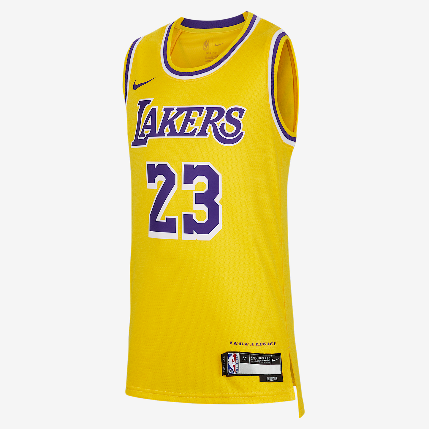 LeBron James Los Angeles Lakers 2023/24 Icon Edition