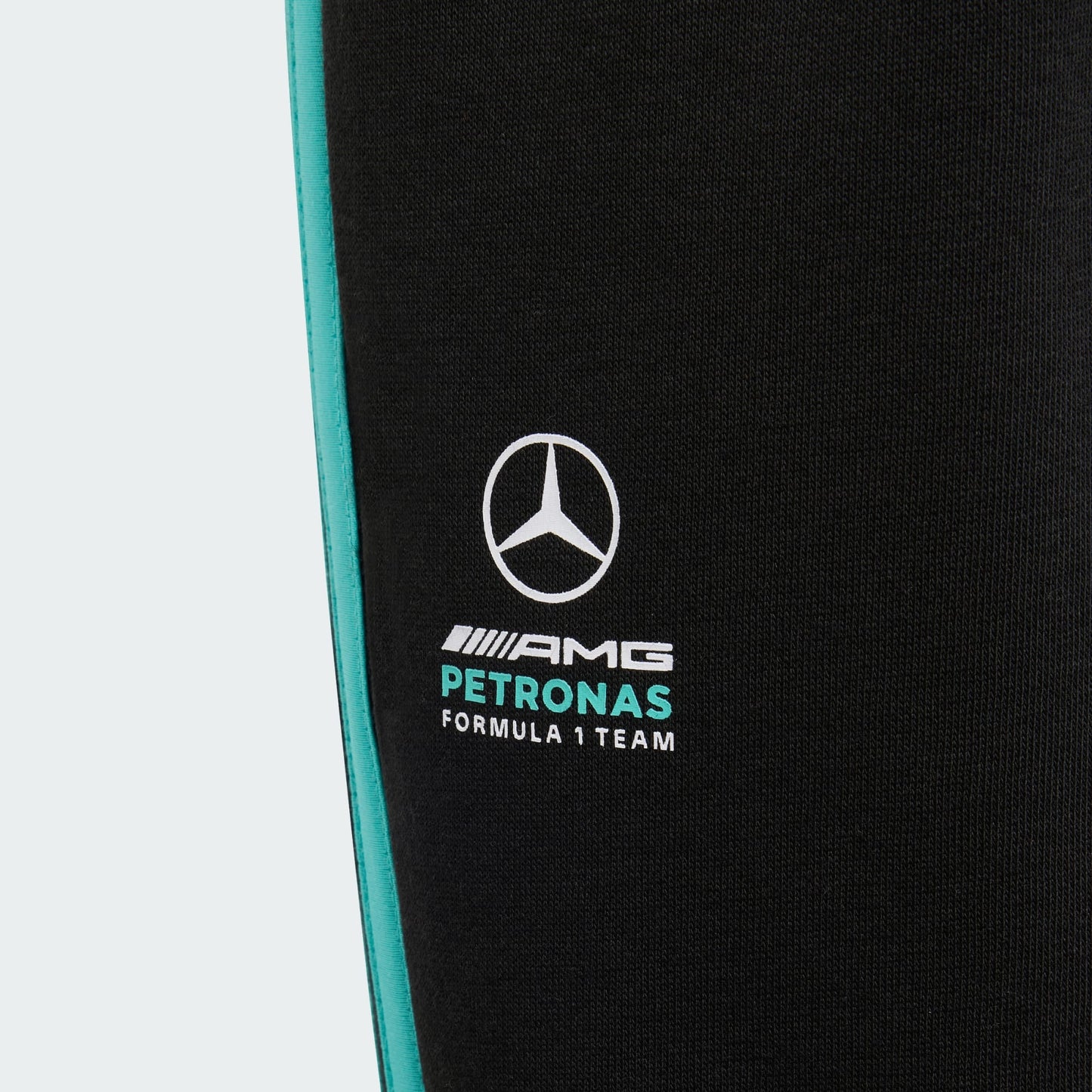 MERCEDES - AMG PETRONAS FORMULA 1 TEAM DNA PANT