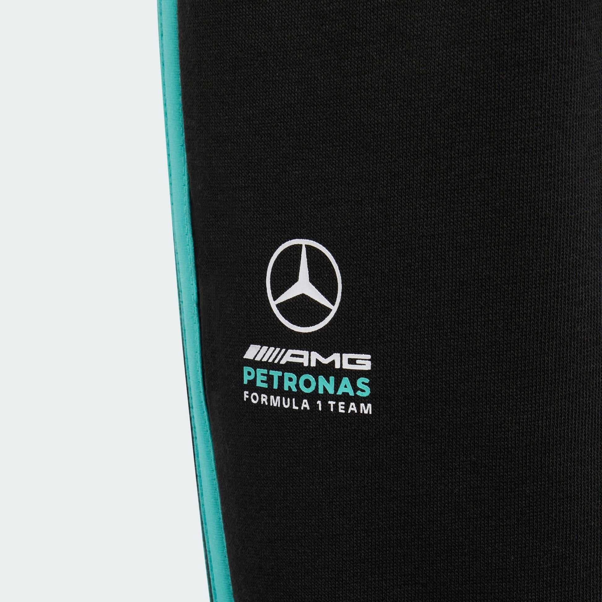 MERCEDES - AMG PETRONAS FORMULA 1 TEAM DNA PANT