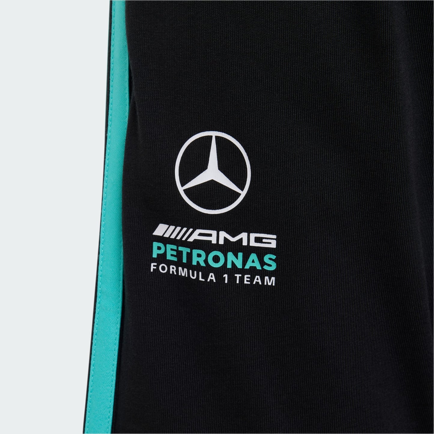 MERCEDES - AMG PETRONAS FORMULA 1 TEAM DNA SHORT