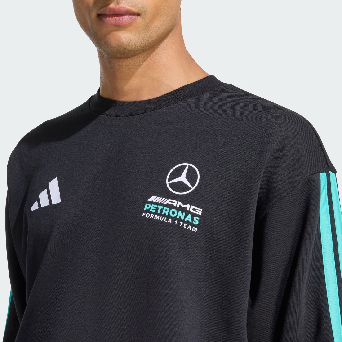 MERCEDES - AMG PETRONAS FORMULA 1 TEAM DNA SWEAT TOP