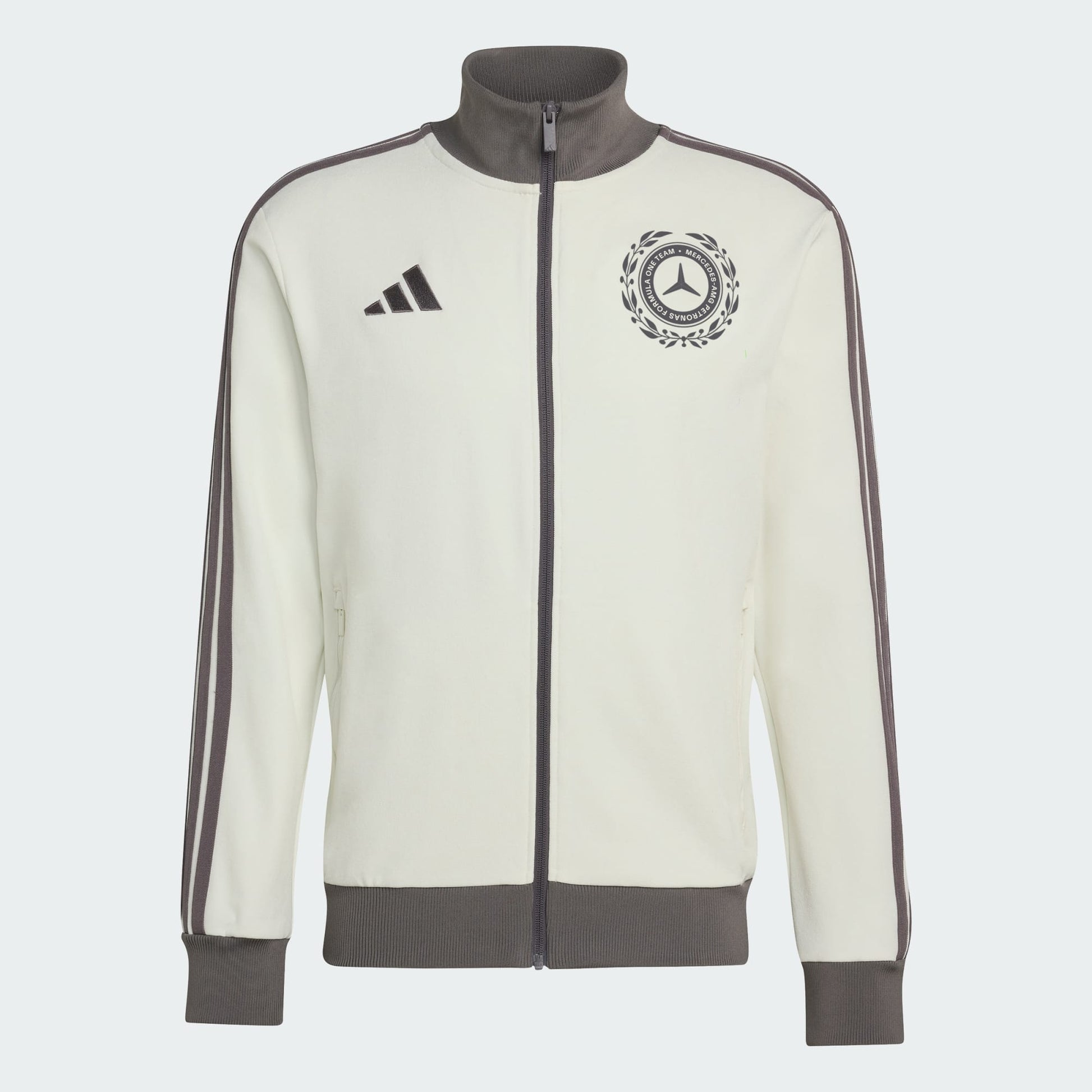 MERCEDES - AMG PETRONAS FORMULA 1 TEAM SILVER ARROWS ICON TRACK TOP MEN