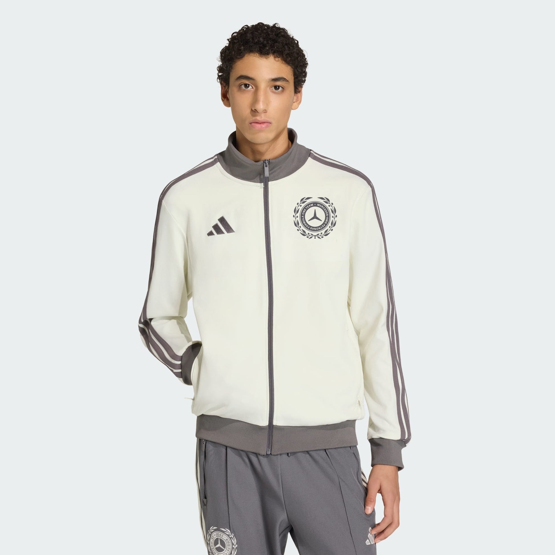 MERCEDES - AMG PETRONAS FORMULA 1 TEAM SILVER ARROWS ICON TRACK TOP MEN