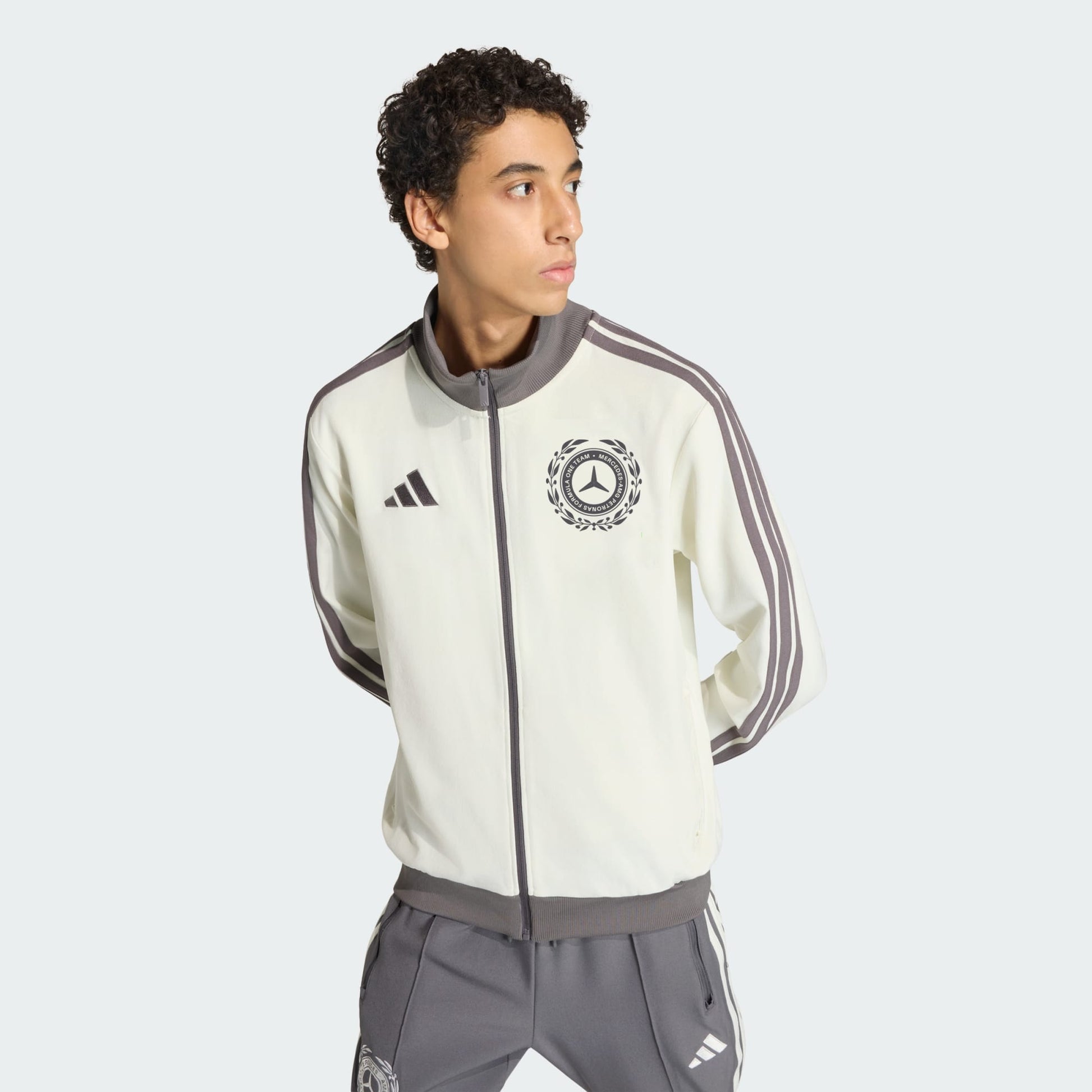 MERCEDES - AMG PETRONAS FORMULA 1 TEAM SILVER ARROWS ICON TRACK TOP MEN