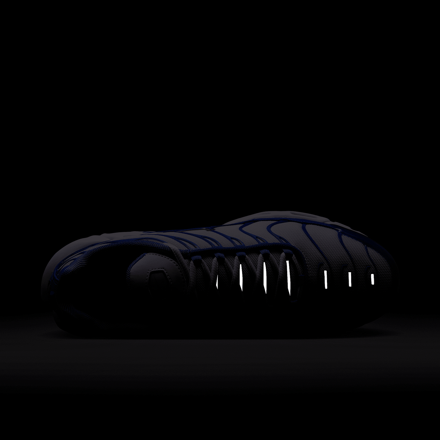 Nike Air Max Plus